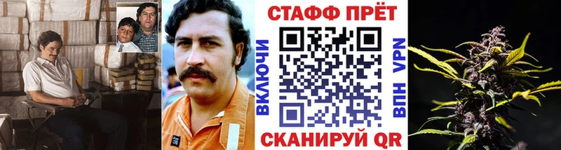 Как найти наркотики Курчатов Каннабис  COCAIN  ТГК  Меф мяу мяу  АМФ 