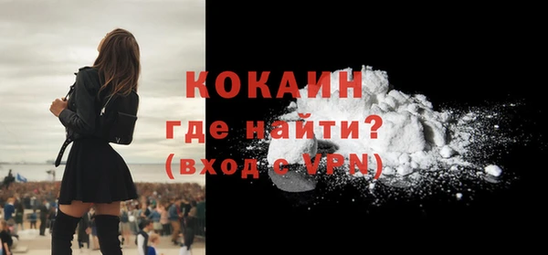 сатива Коряжма