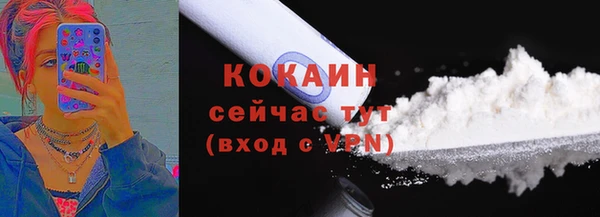 сатива Коряжма