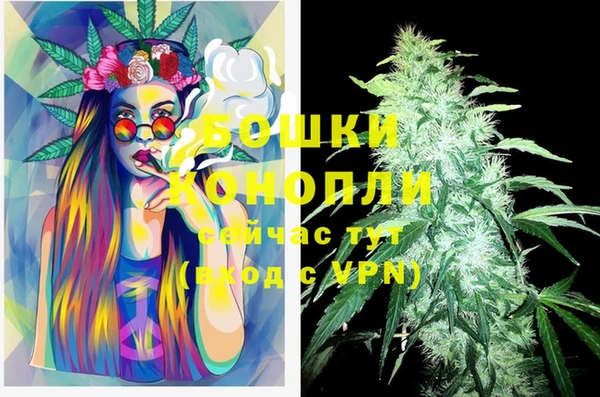 ГАЛЛЮЦИНОГЕННЫЕ ГРИБЫ Костерёво