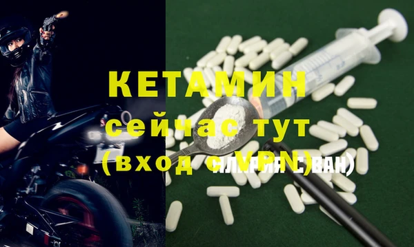 сатива Коряжма