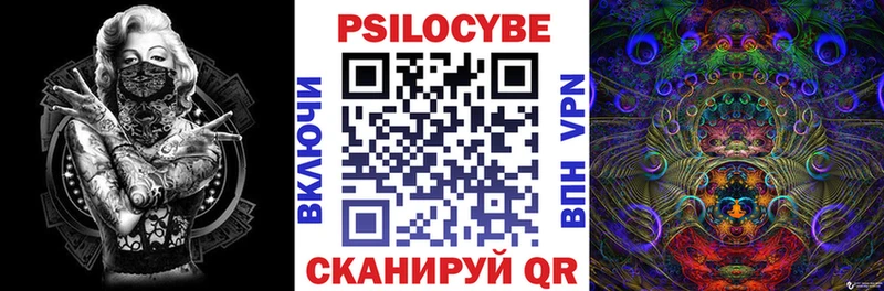 где найти наркотики  Курчатов  Псилоцибиновые грибы GOLDEN TEACHER 